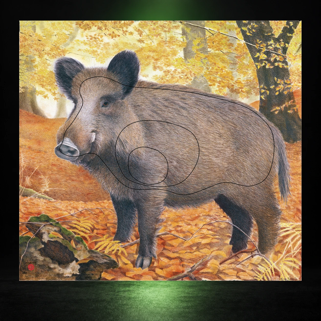 Tierbild-Zielauflage mit Wertungszonen für 3D-Bogenschießen
