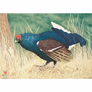 JVD Zielauflage Tierbildauflage Blue Grouse
