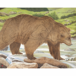 JVD Zielauflage Tierbildauflage Bär