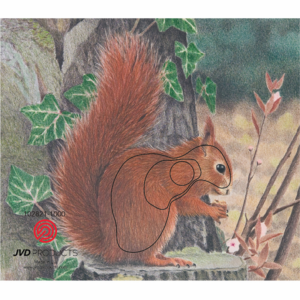 JVD Zielauflage Tierbildauflage Eichhörnchen