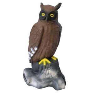 5596214834.jpg 3D-Ziel Uhu
