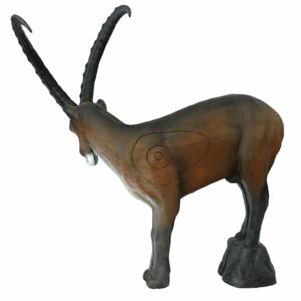 5596232692.jpg 3D-Ziel Steinbock stehend in schräger Rückansicht mit sichtbarer Zielzone