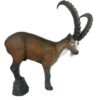 5596233870.jpg 3D-Ziel Steinbock
