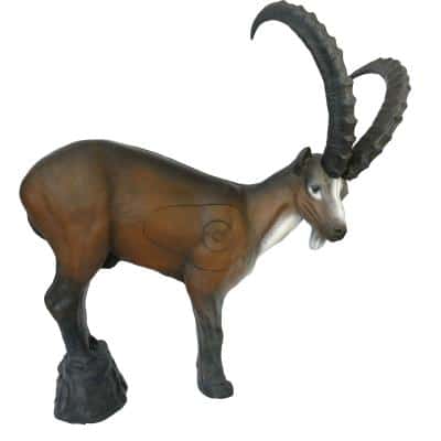 5596233870.jpg 3D-Ziel Steinbock