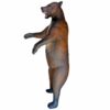 5596552869.jpg 3D-Ziel Grizzlybär aufrecht stehend in schräger Vorderansicht