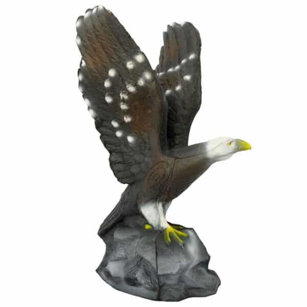 3D-Ziel Weißkopfseeadler mit ausgebreiteten Flügeln in Seitenansicht