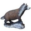 5598060074.jpg 3D-Ziel Marderhund laufend
