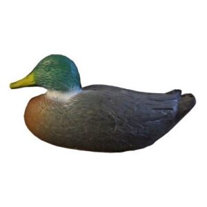 3D-Ziel Ente