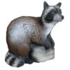 3D-Ziel Waschbär