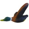 5598123282.jpg 3D-Ziel Ente streichend