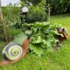 3D-Ziel Schnecke im Garten zwischen Pflanzen