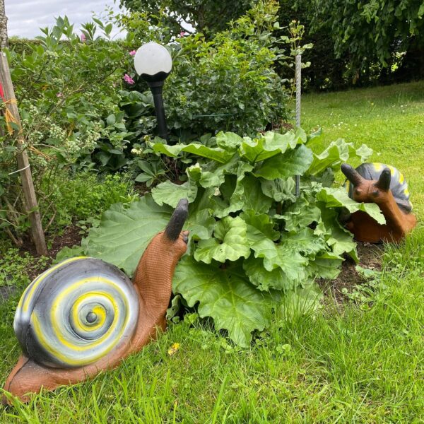3D-Ziel Schnecke im Garten zwischen Pflanzen