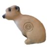 5598412723.jpg 3D-Ziel Erdmännchen sitzend