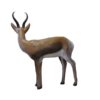 5598493484.jpg 3D-Ziel Springbock in linker Seitenansicht mit sichtbarer Zielzone