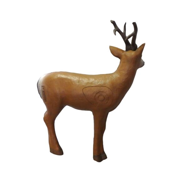 5598500770.jpg 3D-Ziel Sibirischer Rehbock in linker Seitenansicht mit sichtbarer Zielzone