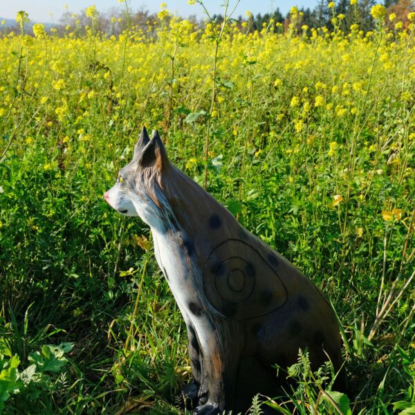 5598519578.jpg 3D-Ziel Luchs sitzend auf einer Blumenwiese