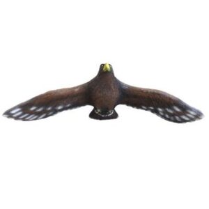 3D-Ziel Steinadler fliegend