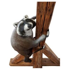 5598588916.jpg 3D-Ziel Waschbär kletternd mit Gurt