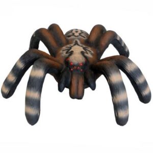 3D-Ziel Kleine Vogelspinne