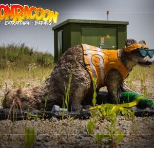 3D-Ziel GoonRacoon