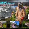 3D-Ziel AGGRoundhog, Übersichtsgrafik mit Zielzonen und Einsatzbildern