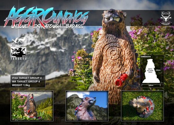 3D-Ziel AGGRoundhog, Übersichtsgrafik mit Zielzonen und Einsatzbildern