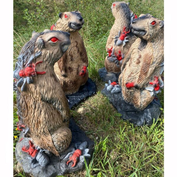 Mehrere 3D-Ziele AGGRoundhog im Gelände mit sichtbaren Trefferstellen