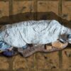 3D-Ziel Pharaoh’s Tombcat liegend in Draufsicht