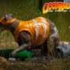 OLYMPUS DIGITAL CAMERA 3D-Ziel GoonRacoon laufend in Seitenansicht im Gelände
