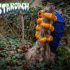 3D-Ziel MonstaRoach seitlich an einem Baumstumpf im Außengelände