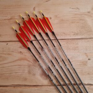 DK Cougar Komplettpfeile ID 4,2 mm – 12 Stück DK Cougar Komplettpfeile ID 4,2 mm – 12 Stück
