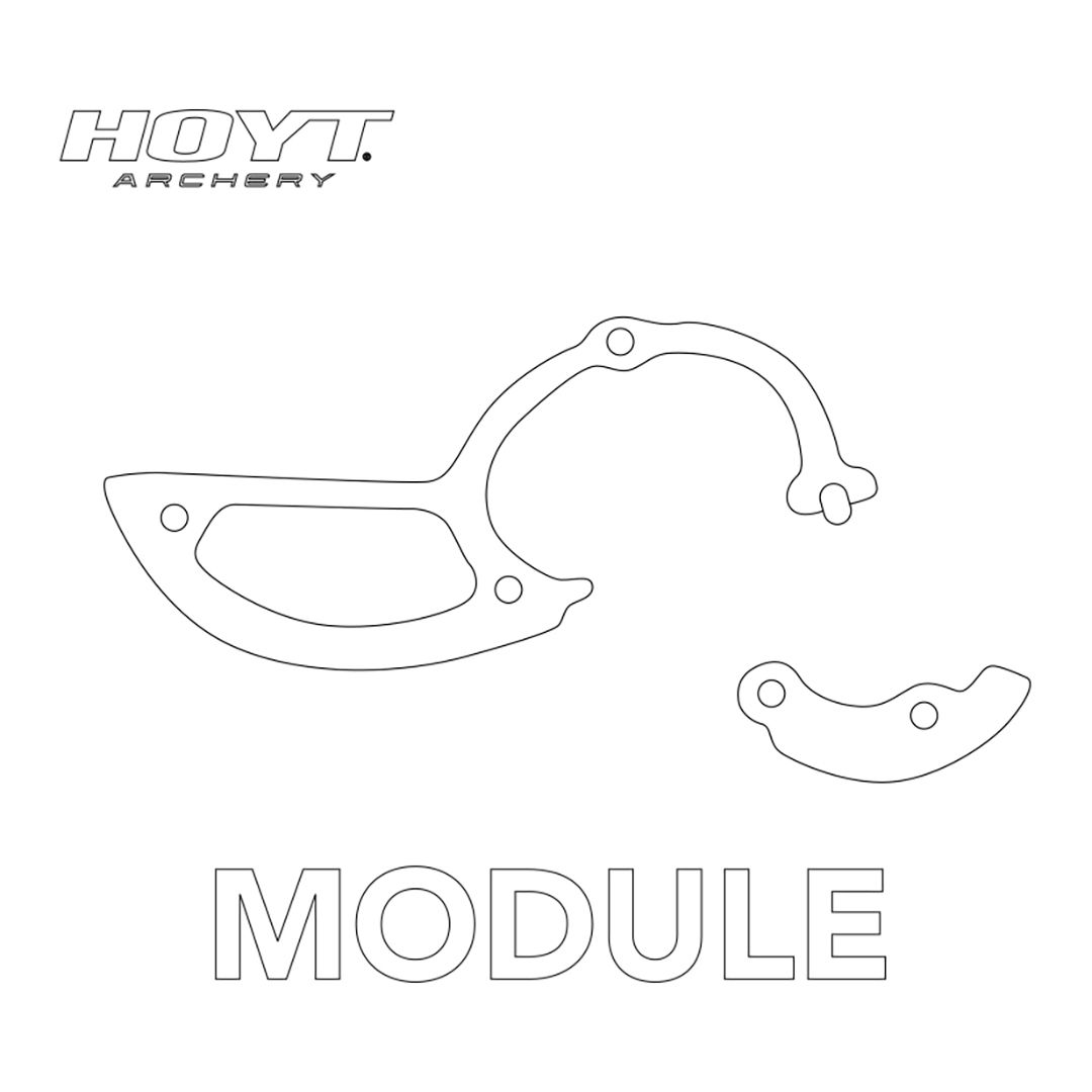 Hoyt Modules HBT