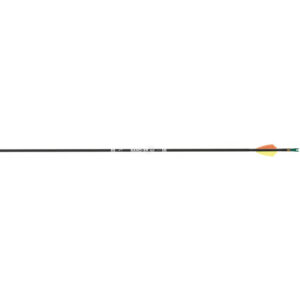 Carbon Express Schaft Nano XR 900 + Spitze A1 - 12er-Satz