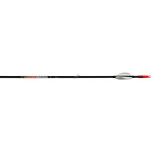 Carbon Express Schaft Nano Pro X-Treme 350 + Spitze - 12er-Satz