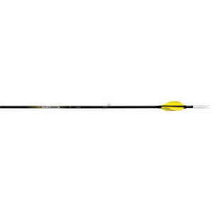 Carbon Express Schaft Nano SST + Pin – 12er-Satz