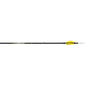 Carbon Express Schaft Nano SST + Spitze + Pin – 12er-Satz