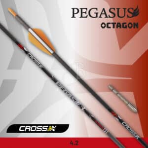 Cross-X Pfeil Pegasus Octagon