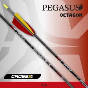 Cross-X Pfeil Pegasus Octagon Naturbefiederung