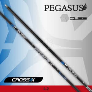 Cross-X Schaft Pegasus Cube – 12er-Satz