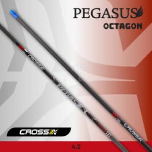 Cross-X Schaft Pegasus Octagon – 12er-Satz