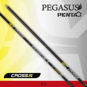 Cross-X Schaft Pegasus Penta – 12er-Satz
