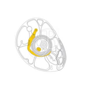 Mathews Cam-Modul SWT